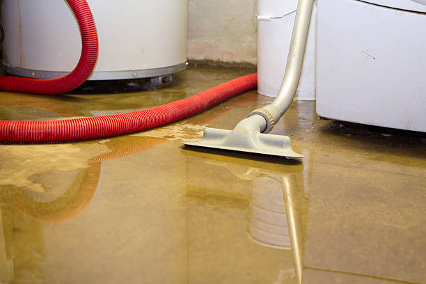 Best Commercial water damage restoration  in Appalachia, VA