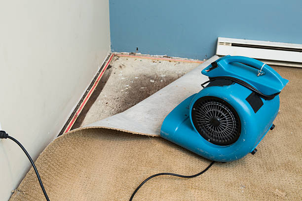 Best Flood damage cleanup  in Appalachia, VA